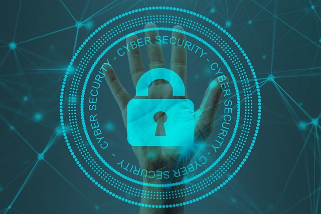 Sécurité des données en 2025 : protéger ses informations personnelles à l’ère du numérique